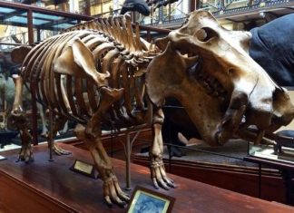 7 PASSEIOS CULTURAIS IMPERDÍVEIS EM DUBLIN NA IRLANDA 7 passeios culturais imperdíveis em Dublin na Irlanda