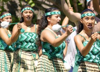 Curiosidades sobre a Nova Zelândia Dicas e Costumes Curiosidades sobre a Nova Zelândia