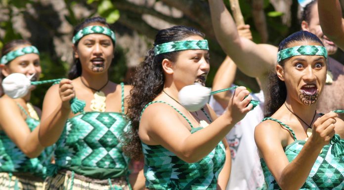 Curiosidades sobre a Nova Zelândia Dicas e Costumes Curiosidades sobre a Nova Zelândia