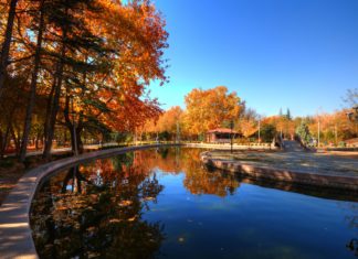 4 LUGARES PARA CURTIR O OUTONO