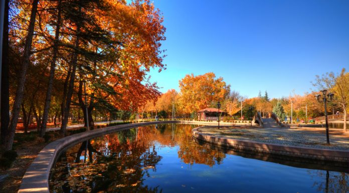 4 LUGARES PARA CURTIR O OUTONO