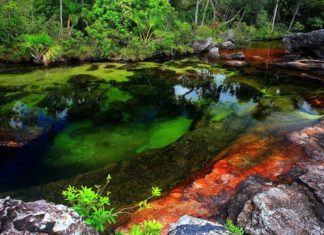 9 lugares inacreditáveis para nadar ao redor do mundo