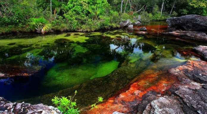 9 lugares inacreditáveis para nadar ao redor do mundo