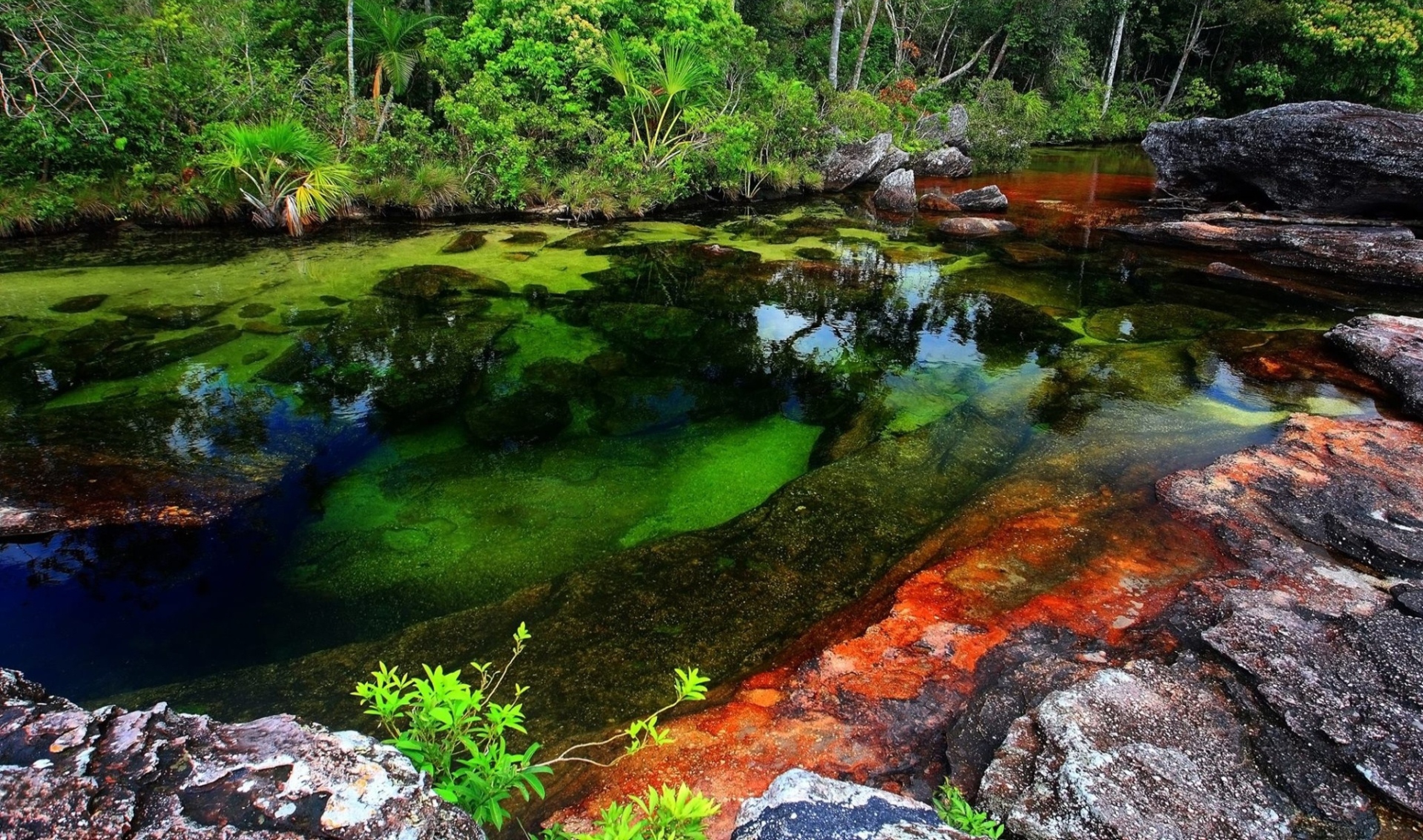 9 lugares inacreditáveis para nadar ao redor do mundo