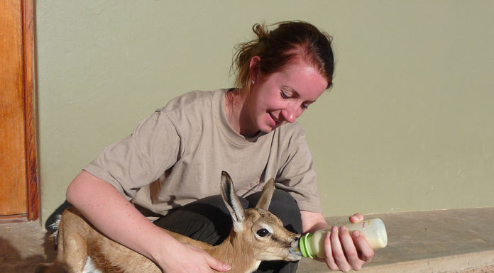 Tipos de trabalho voluntário na África do Sul