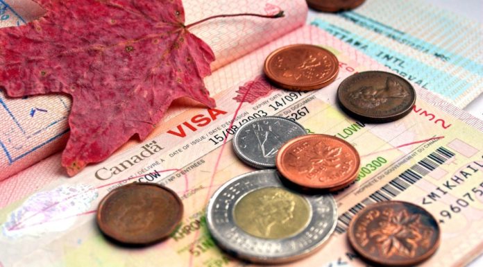 VISTO DE TURISTA DO CANADÁ: VEJA SE VOCÊ PODE SOLICITAR O eTA eTA