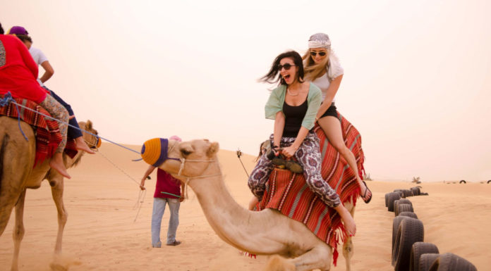 Estudar e Trabalhar em Dubai safari-em-dubai-roda-mundo-intercambio