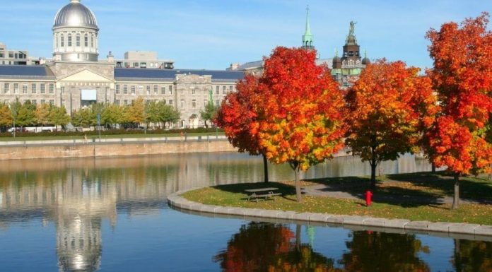 Sistema educacional da Província de Quebec